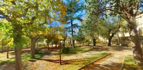 Photo de Parque de La Arboleda