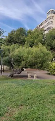 Photo de Parc de Calistènia de la platja de Mutxavista