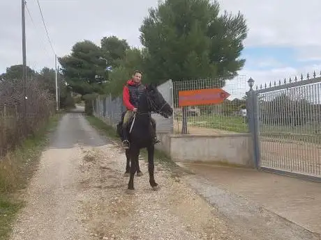 Centro equestre Mirmex ASD
