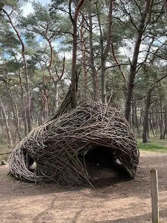 Houtkunst - De tunnel