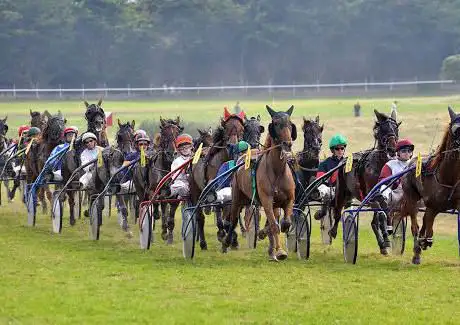 Photo de Racecourse Atlantic