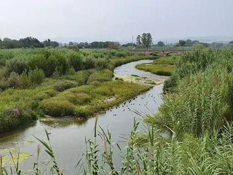Photo de Ponte delle Anatre