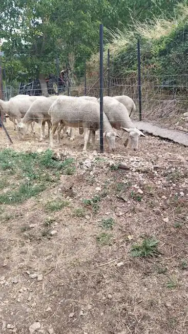 Photo de La ferme de Pinet