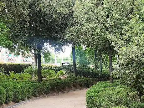 Photo de Botánico. Museo del Bonsái Garden