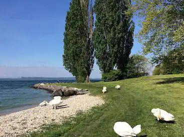 Plage d'Auvernier