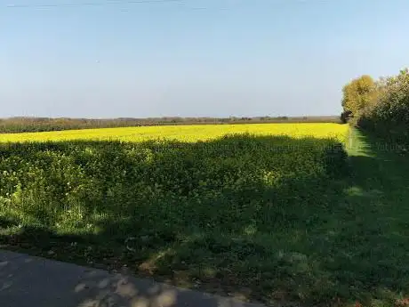 Kapel O-L-Vrouw van 't Eikske