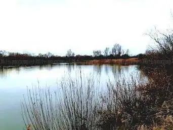 Photo de Observatoire Ornithologique