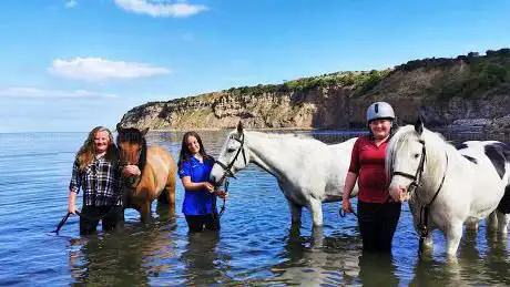 Croft Farm Trekking Centre