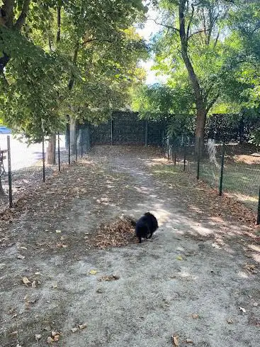 Parc canin