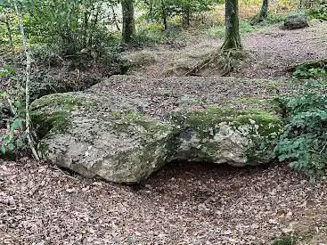 Photo de Menhir La Pierre Tournoire