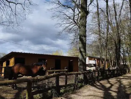 Janvry équitation