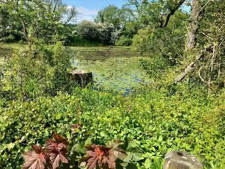 Bishops Pond