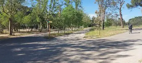 Photo de Curva de la muerte