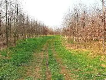 Krommebeekbos