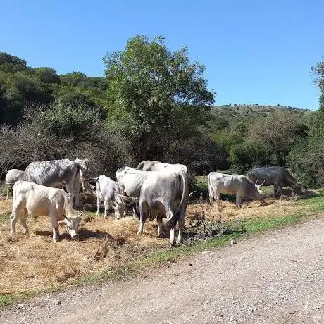 Photo de Valmaco