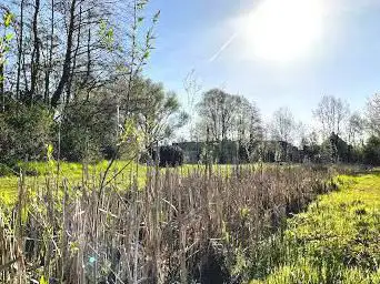 Wijmelbroek Natuurpunt