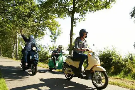 Plezant Hageland