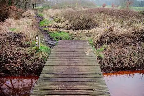 Dommel