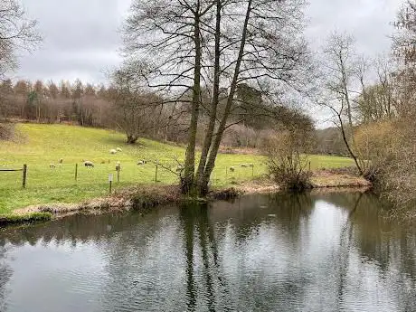 Tillingbourne waterfall