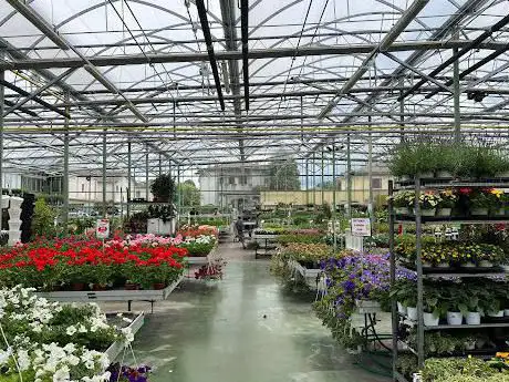 Garden Vicenza Verde