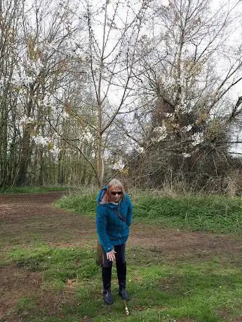 Photo de Bincombe Beeches Hill