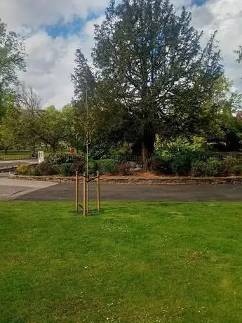 The MND Memorial Tree