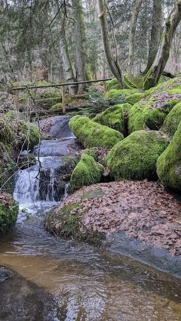 Wilder Sasbach Wanderweg