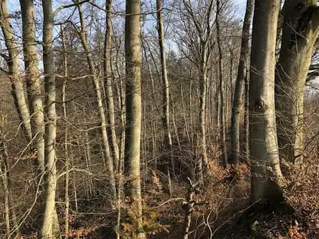 StÃ¶ckenhaldenweg