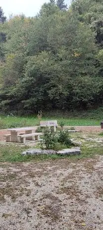 Area picnic
