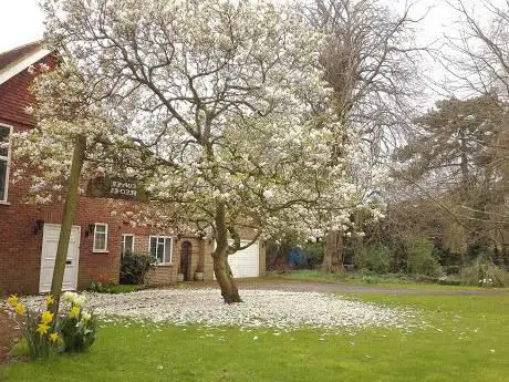 Photo de Hartlip Methodist Church