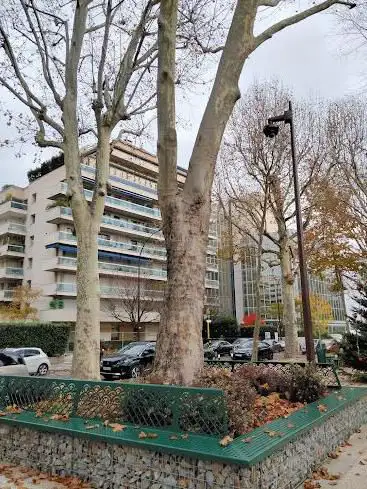 Photo de Square Jatte