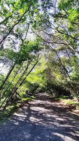 Photo de Senda Botánica Los Aromos
