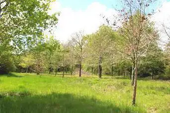 Photo de Réserve Naturelle Régionale du Bocage humide des Cailleries