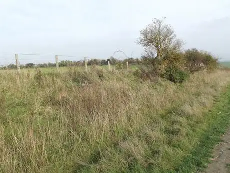 Photo de Arbury Banks Hill Fort
