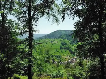 Wanderweg Hardbergweg-Alte Eichen