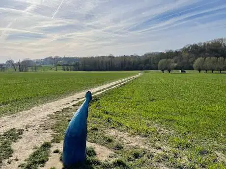 De blauwe heks