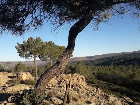 Photo de Atalaya de los Picozos