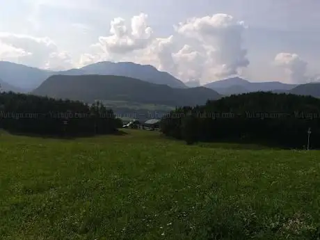 Rautnerweiher