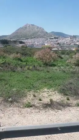 Photo de Toro de Osborne