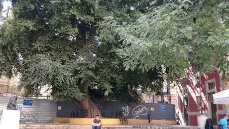 Photo de Plaza De San Pedro De Alcantara