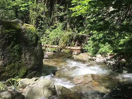 Photo de Gorduno Valley - Valle di Gorduno