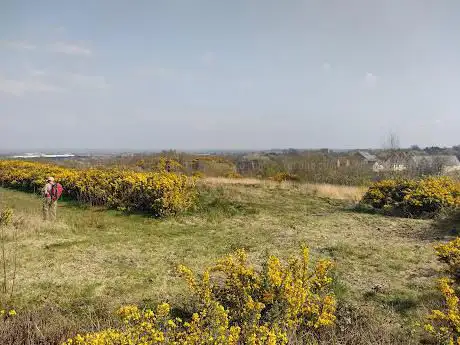 Photo de Telford Millennium Nature Reserve