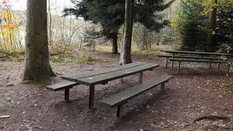 Picknickplatz am Waldrand / Grillstelle / Brunnen
