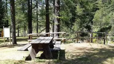 Area picnic