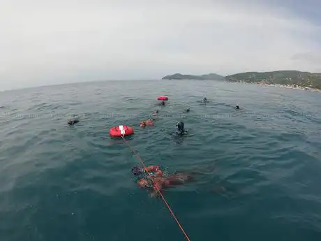 Bythos Freediving