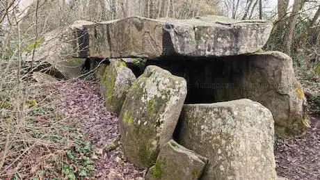 Photo de Dolmen de la pierre levée