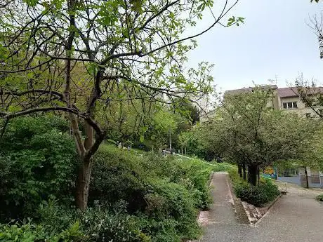 Photo de Jardin de la Grande-Côte