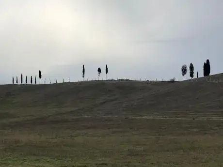 Beautiful View