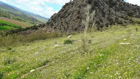 Photo de El Peñón de Antequera