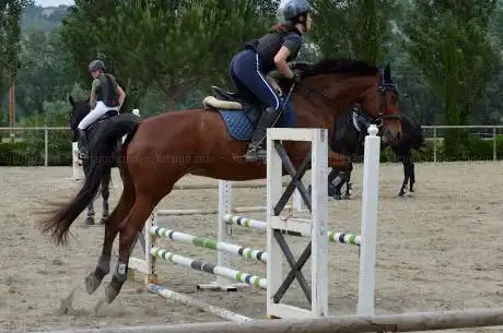 Photo de Circolo ippico Equiseto